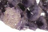 Dark Purple Amethyst Cluster - Large Points #211961-5